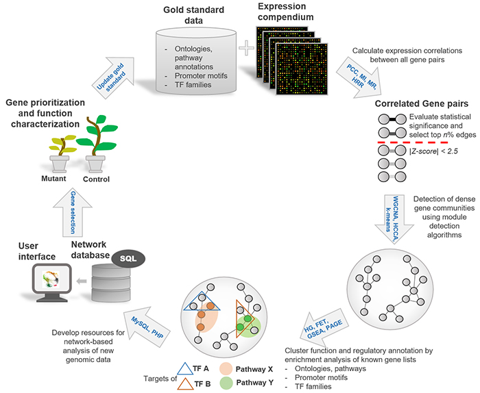 Figura 1: Pasos para la construcción de redes de coexpresión de genes específicas de contexto