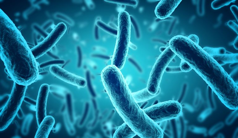 Imagen del artículo: Resistencia a antibióticos: La pandemia silenciosa