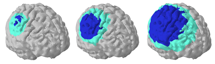 My Scientific la mejor revista