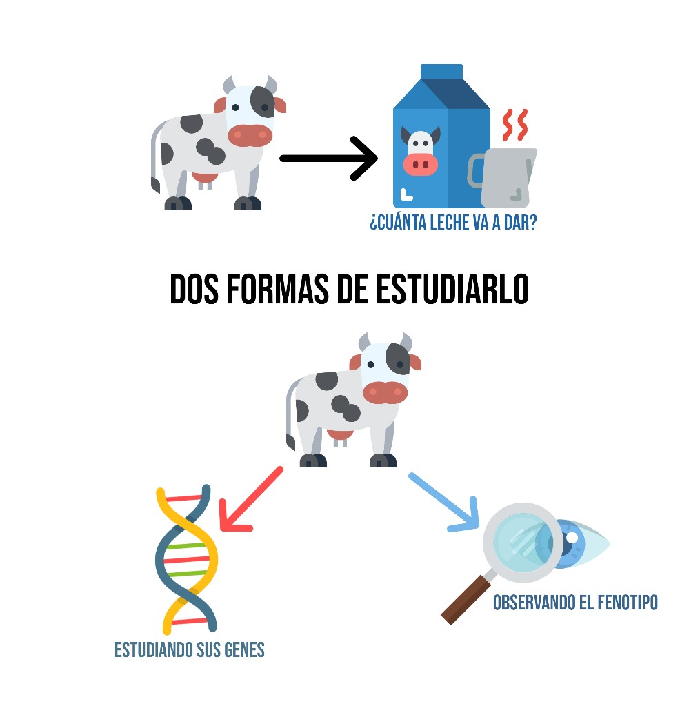 Imagen del artículo: Diagnóstico por imagen: Cuando una imagen vale más que mil palabras