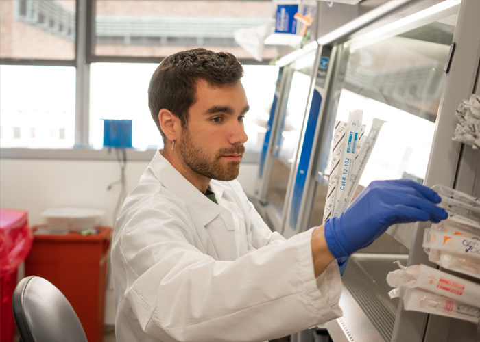 Imagen del artículo: Inmunoterapia y cáncer: pasado, presente y futuro